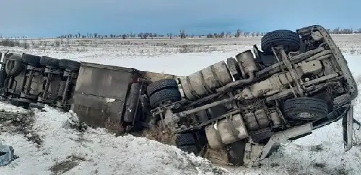 Ақмола облысында 20 тонна жұмыртқа тиелген фура аударылып қалды