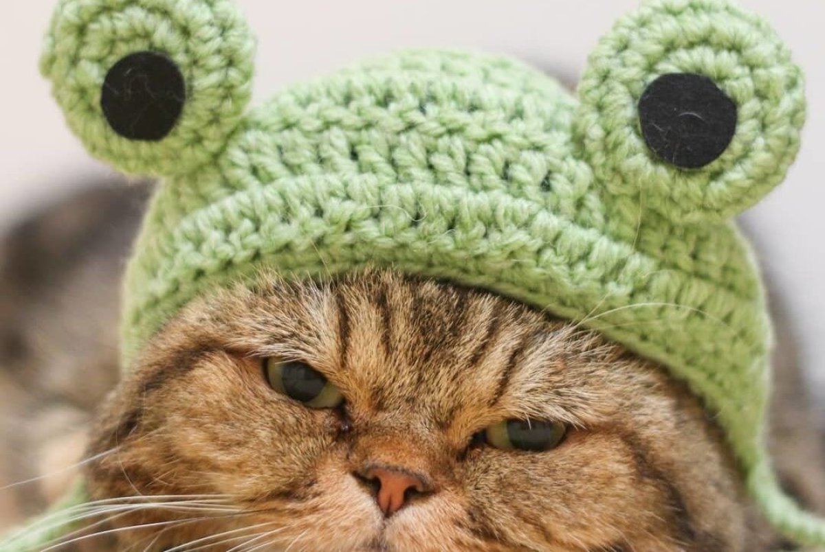 На западе дождь, на юге похолодание: прогноз погоды на вторник