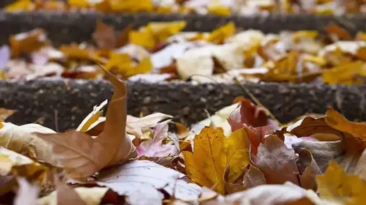 Күздің соңғы күні Қазақстанда ауа райы қандай болады