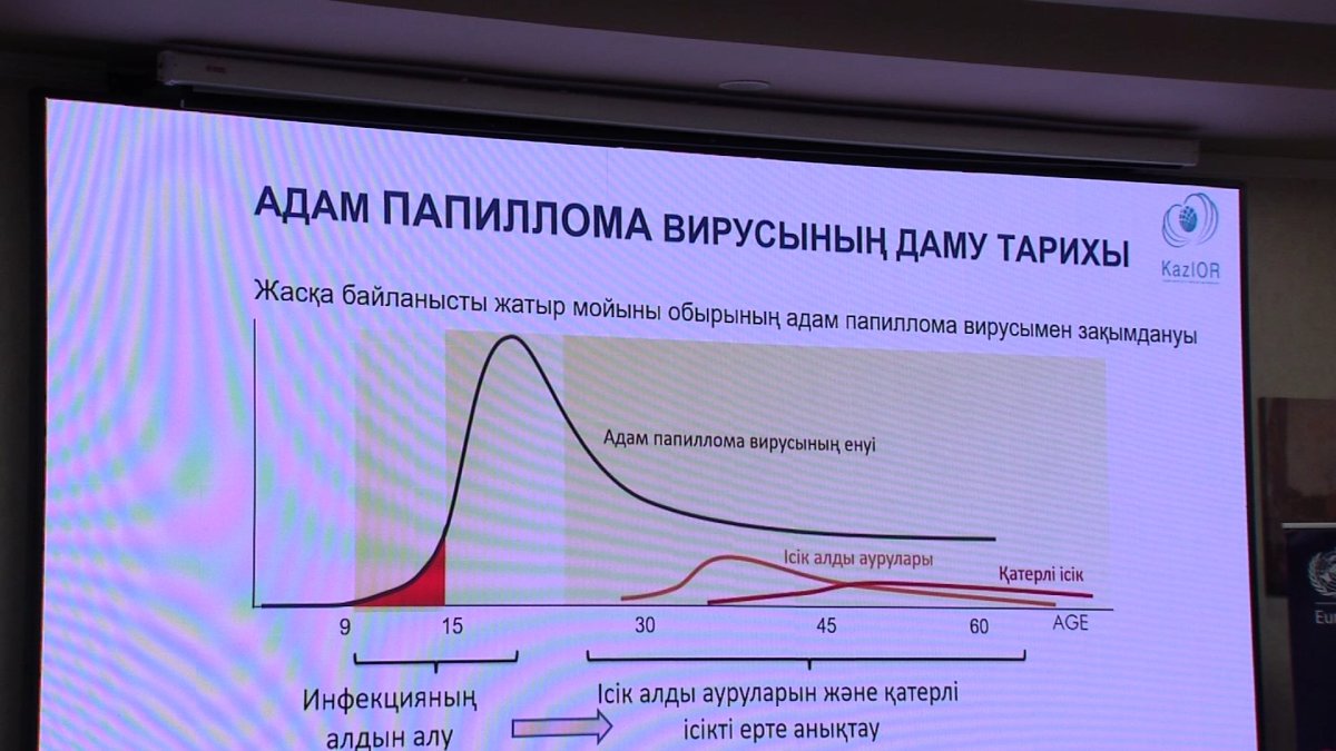Қазақстанда адам папилломасы вирусына қарсы 11-13  жастағы қыздарға вакцина салынады