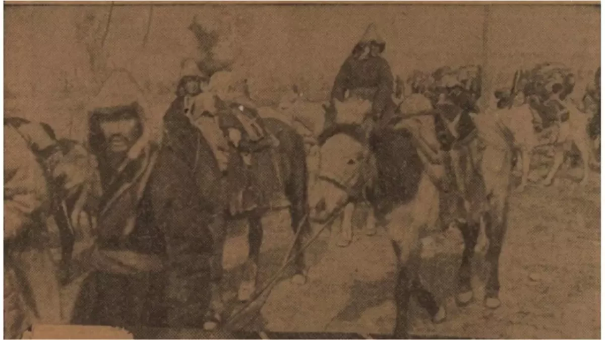 Үндістанға көшкен 3 мың қазаққа қатысты тың деректер табылды