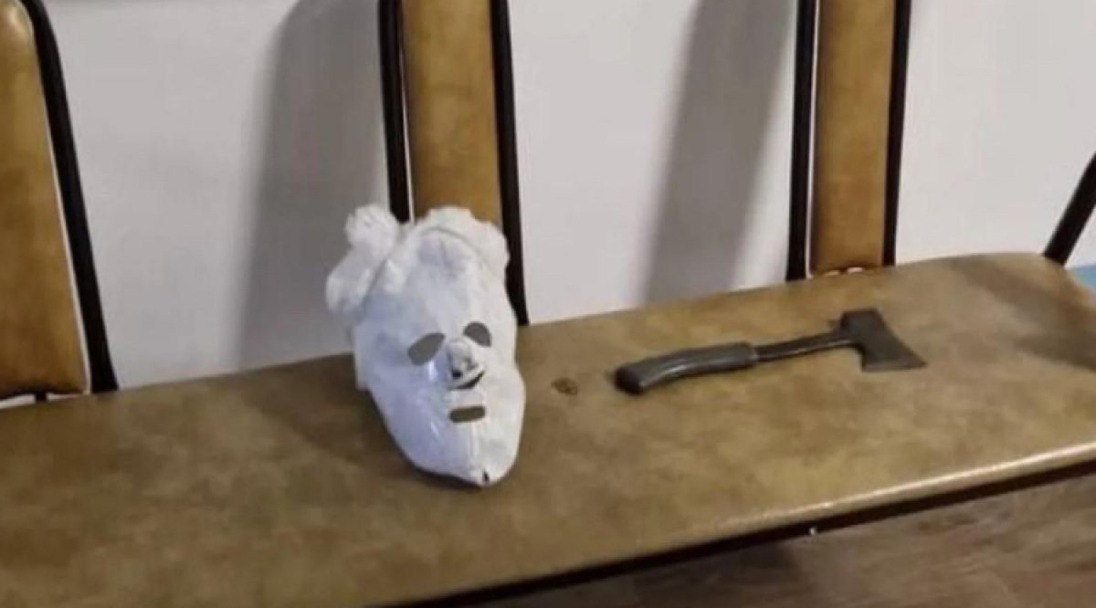 Школьнику с топором вынесли приговор в Петропавловске