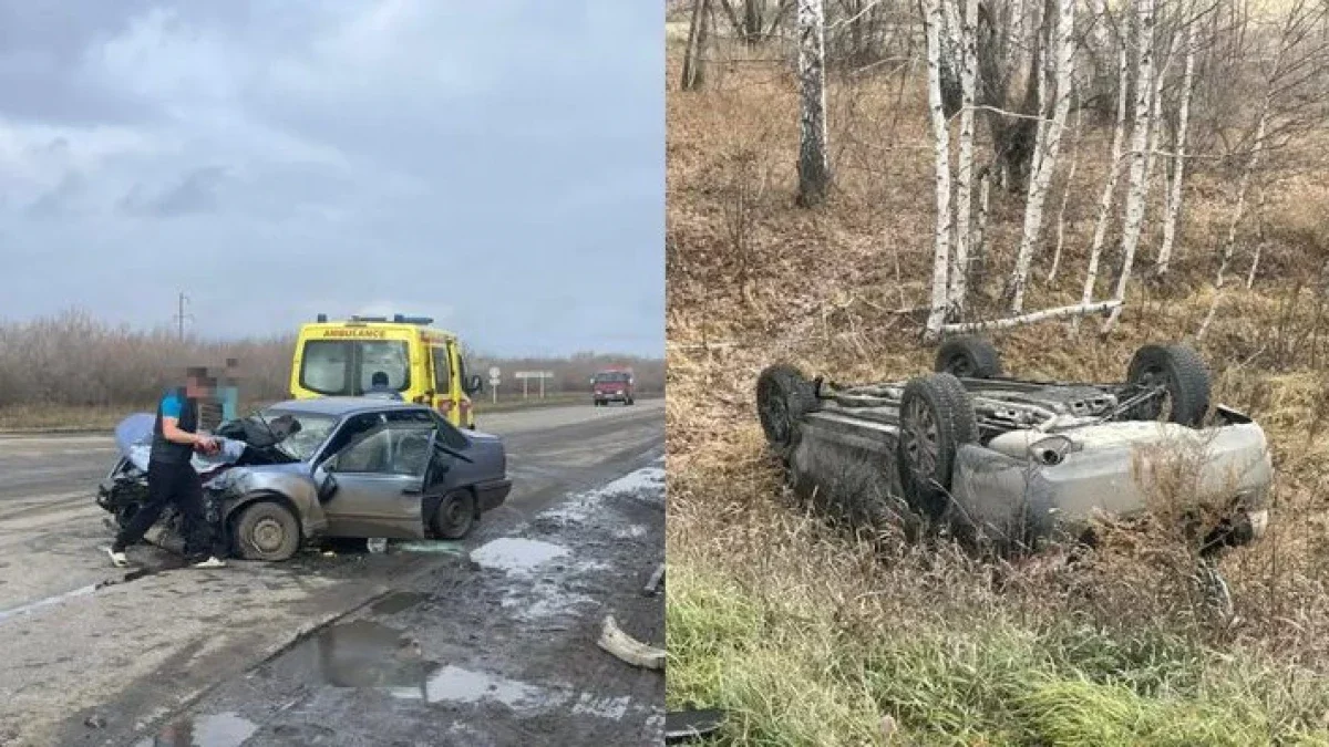 СҚО-да жол апатынан жеті адам зардап шекті