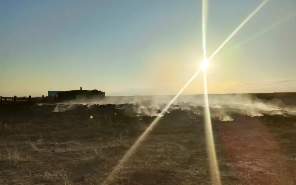 Абай облысында сіріңкемен ойнаған балалар 82 тонна пішенді өртеп жіберді