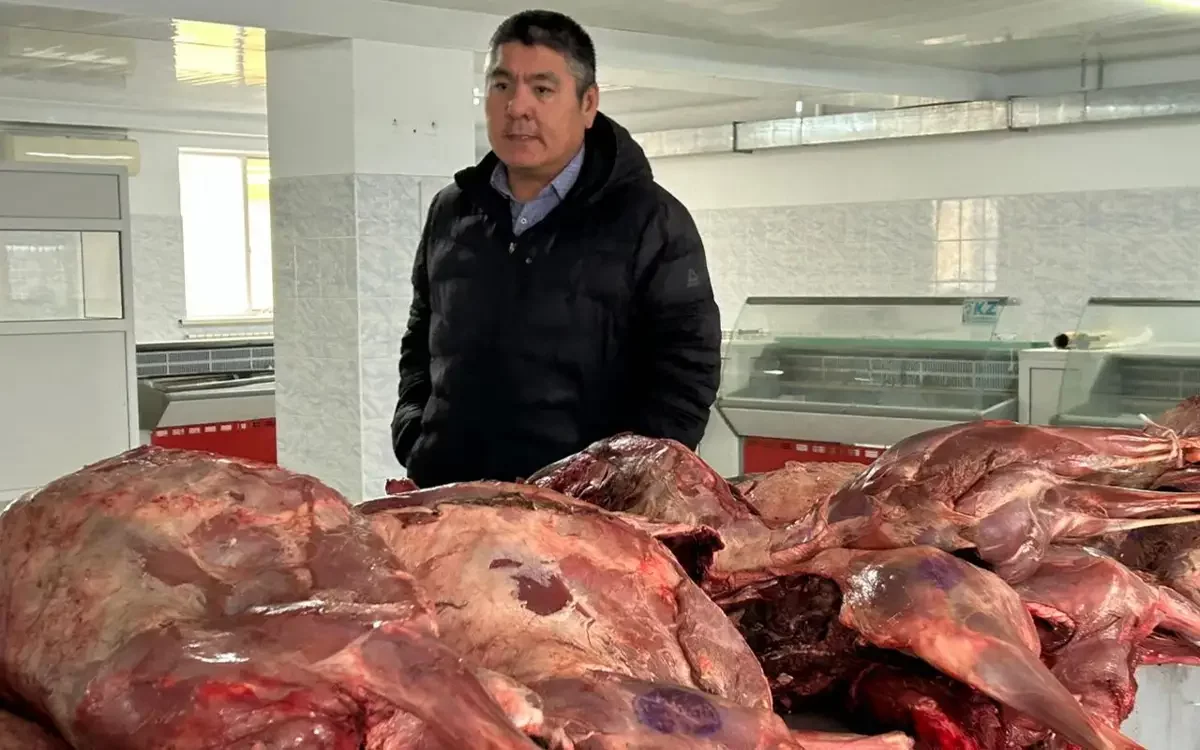 Ақтөбеде киік еті сатылымға шығарылды