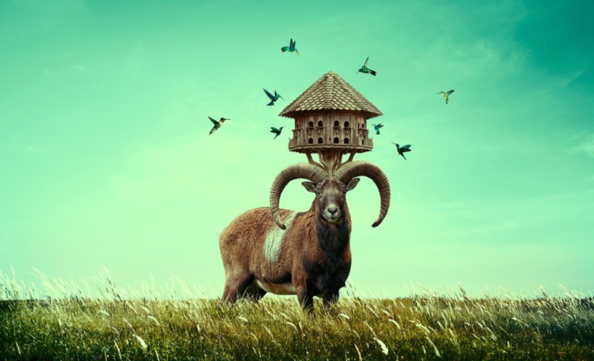 Тельцы, скромность - в сторону; Стрельцы, не разбрасывайтесь деньгами: советы звёзд на 15 декабря