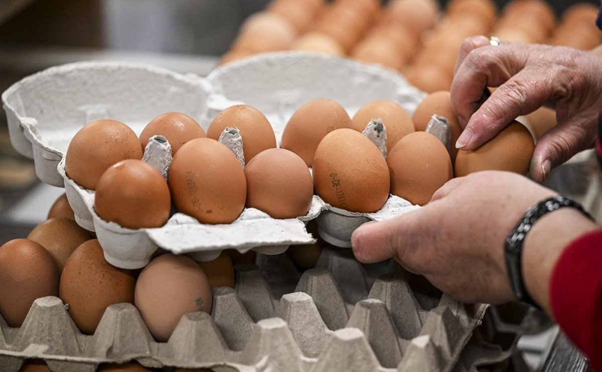 В ЗКО резко подорожали яйца