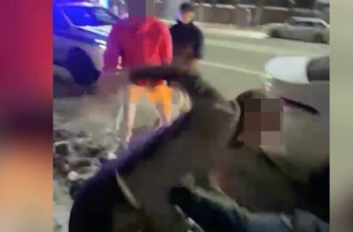 Напавший на полицейского алматинец взят под стражу (ВИДЕО)