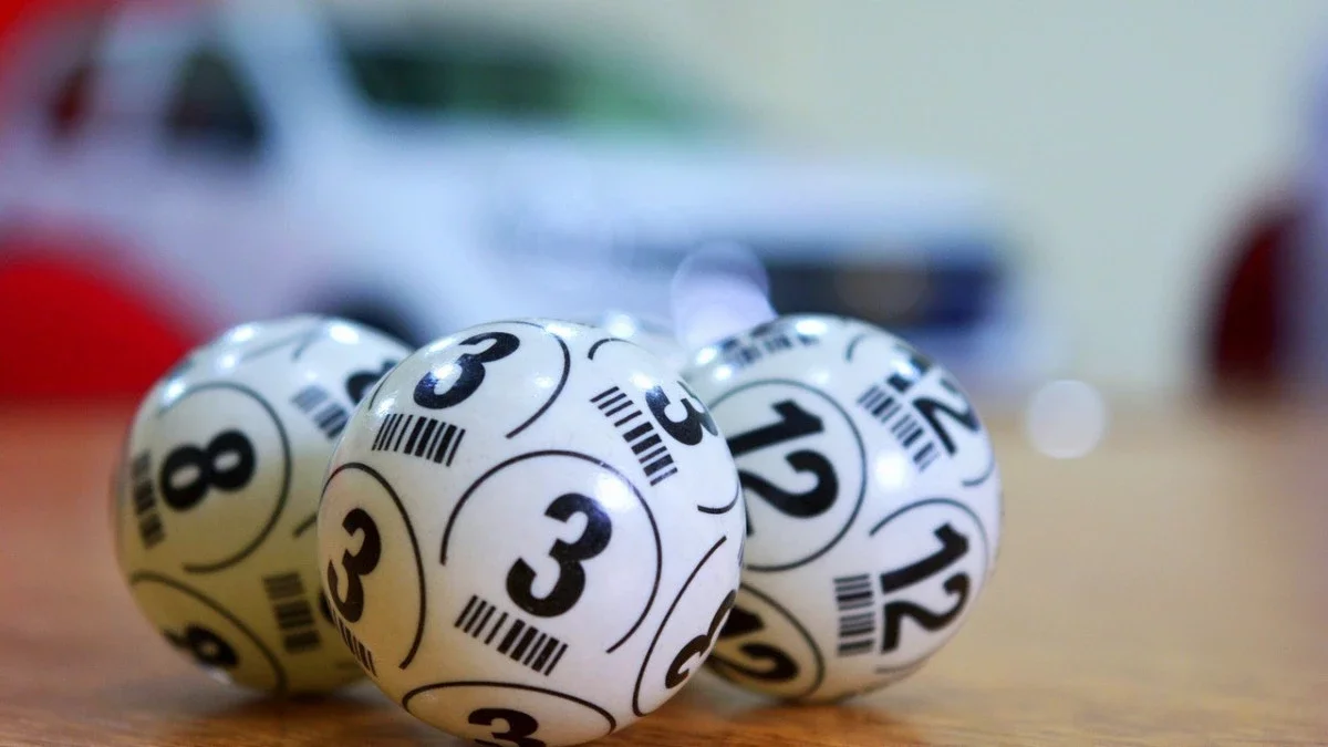 Лотерея операторы өз табысының 10%-ын отандық спортты дамытуға береді