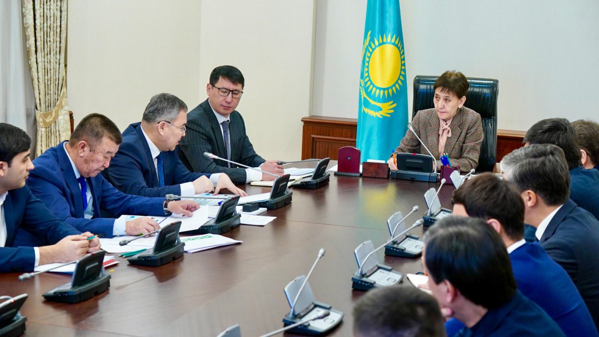 Планы по реализации программы «Ауыл аманаты» на 2024 год обсудили в Правительстве