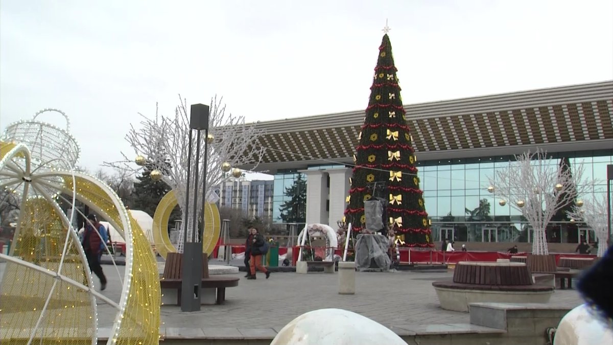 Қазақстандық шыршалар ТМД -дағы ең биік шыршалардың ондығына енді