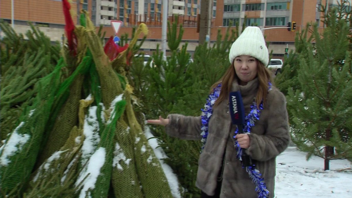 Жаңа жылда шоколад мен спирттік өнім сыйлауға болмайды