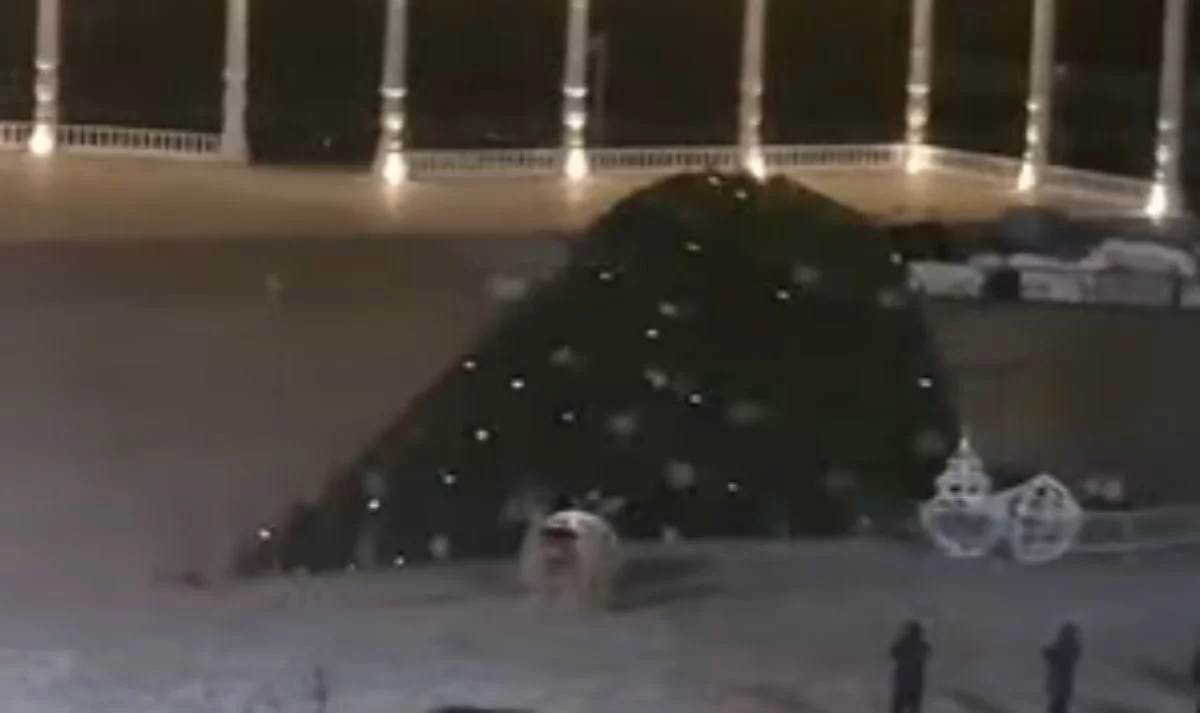 Ақтауда қатты желден жаңа жылдық шырша құлап қалды