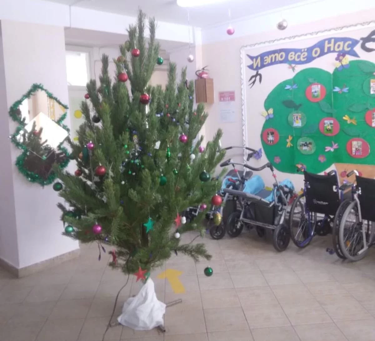 Қостанайда балалар үйіне сыйға тартылған шыршаны қызметкер үйіне алып кеткен