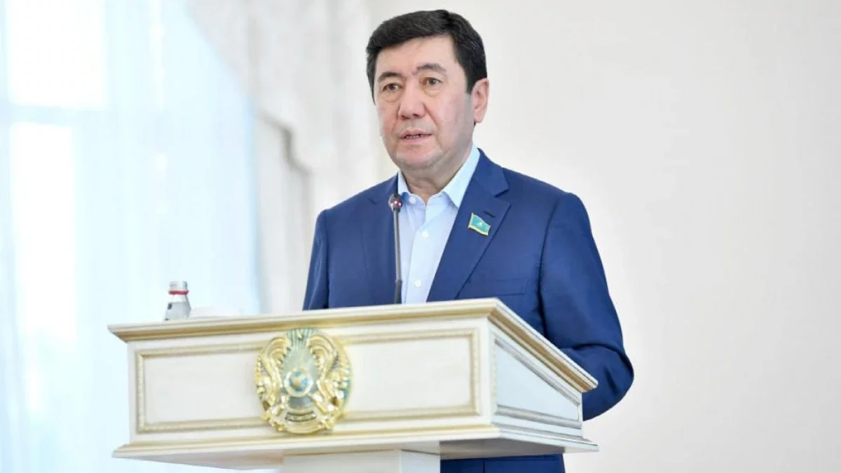 Мәжіліс спикері әйелдер не себептен арыздарынан бас тартатынын айтты