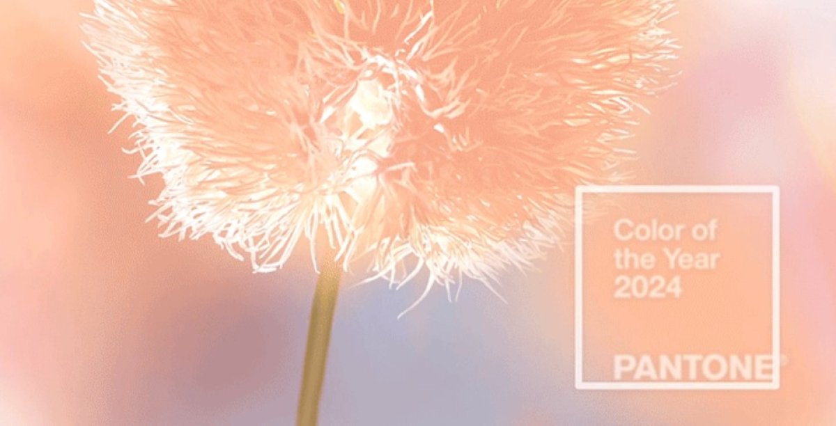 «Персиковый пушок» назвали главным цветом 2024 года