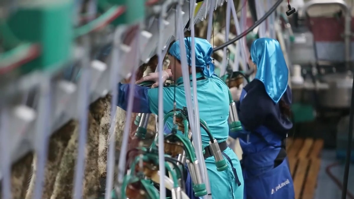 Агроөнеркәсіп кешеніндегі қайта өңдеу өнімдерінің үлесін арттыру бойынша көшпелі отырыс өтті