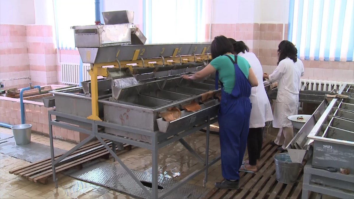 Атырау в лидерах по привлечению инвестиций,- Шапкенов