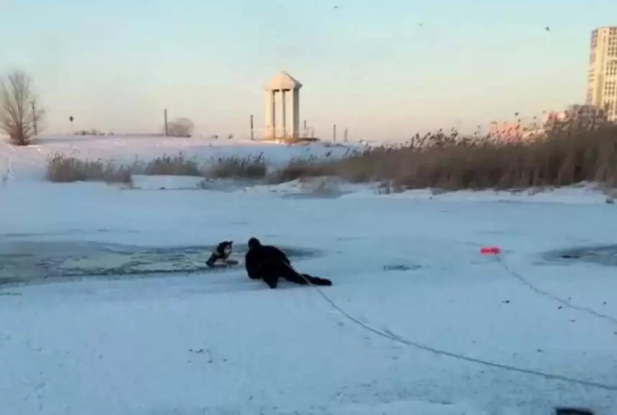 Астанада суға батып бара жатқан әйел мен иті құтқарылды