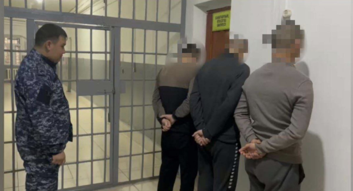 33 овцы украли в Жетысае