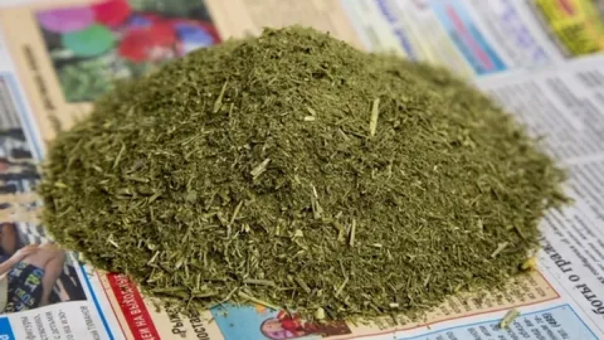 БҚО-да үй шатырындағы есірткі зертханасы табылды