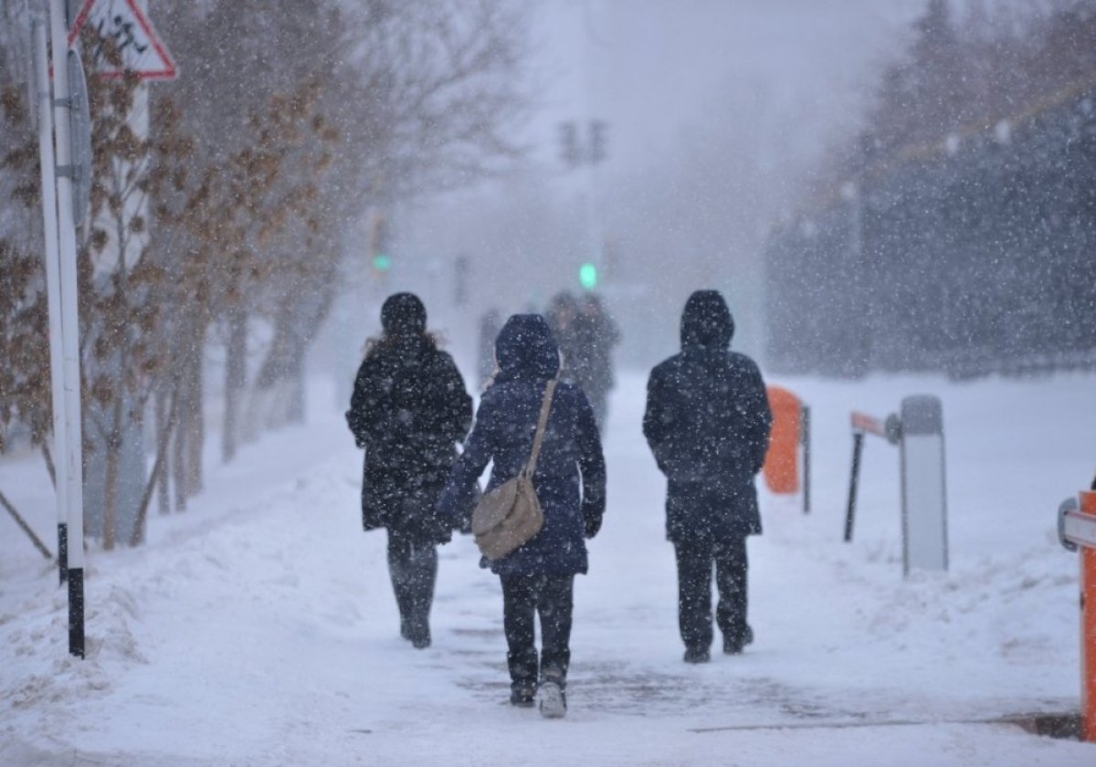 Сенатор заявил о риске возникновения угрозы нацбезопасности