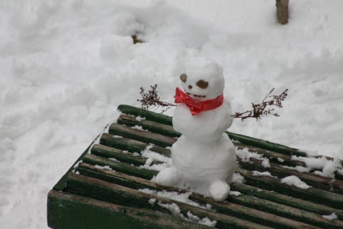 Закрыты дороги из-за угрозы лавин в ВКО, из-за снегопада – в Мангистауской области