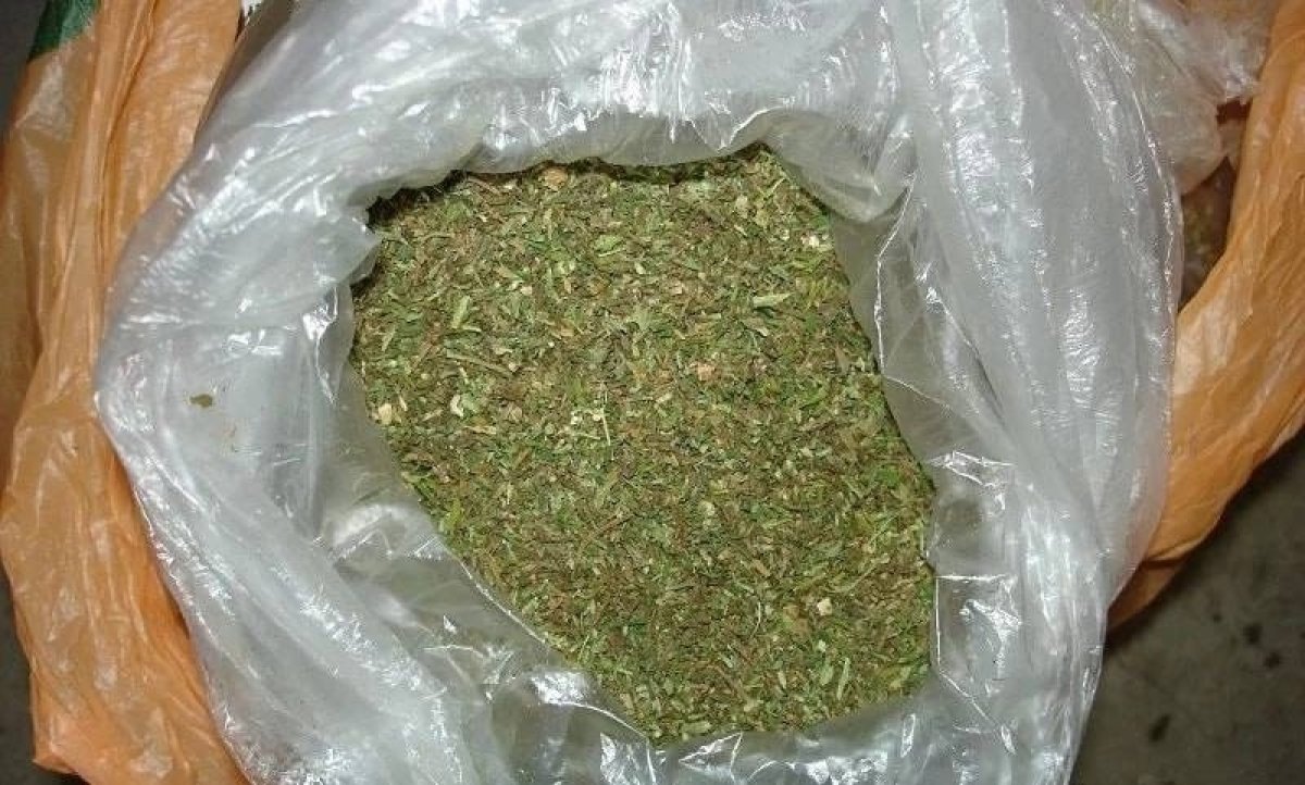 Почти 2 кг марихуаны хранил житель Усть-Каменогорска  в кровати