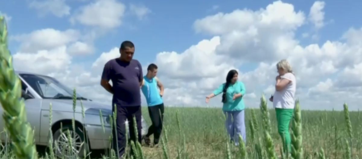 Пять лет тюрьмы: участкового приговорили за бездействие в СКО