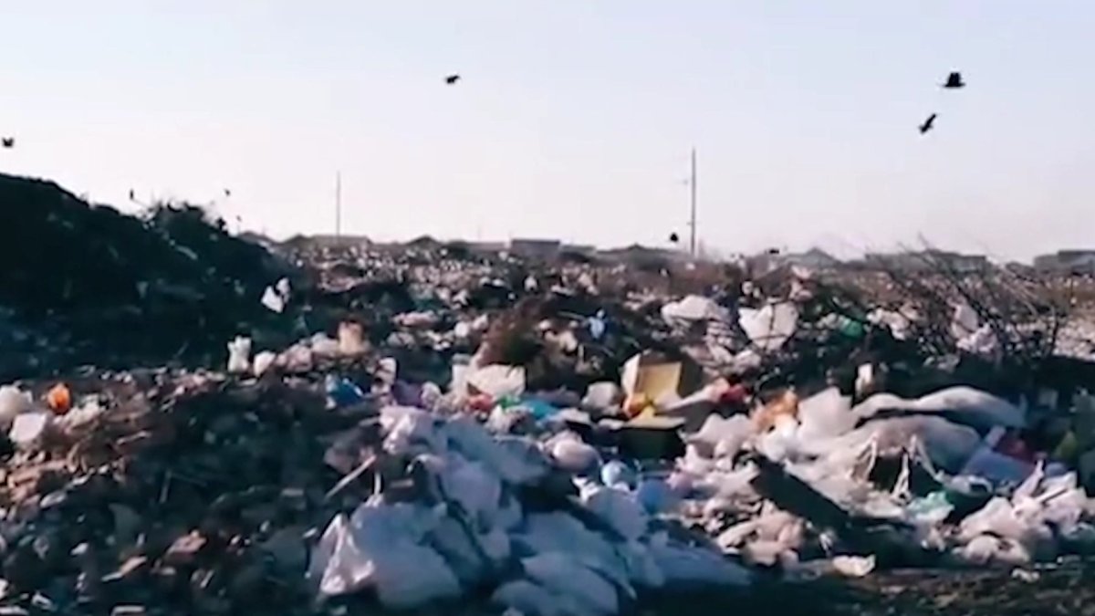 "Атырау облысында бес ауылдың малы кәріз суын ішіп жүр", - тұрғын