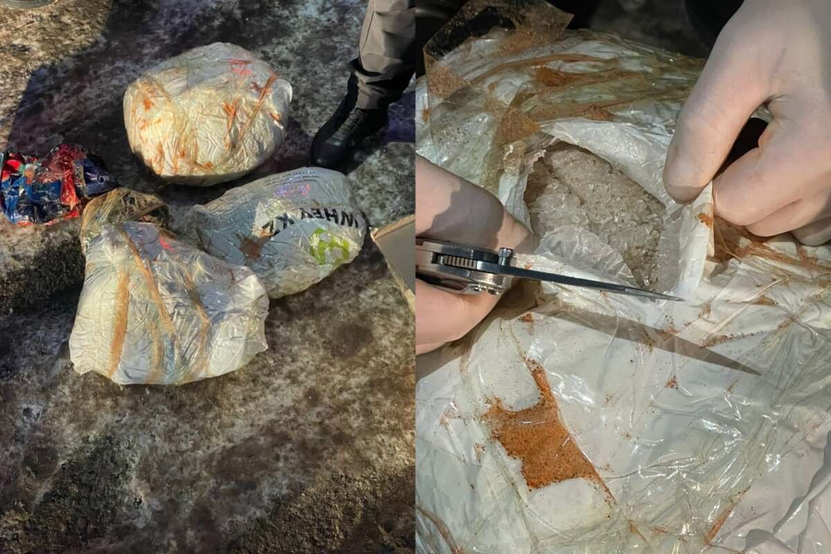 Елордада синтетикалық есірткі жеткізудің ірі арнасы жойылды