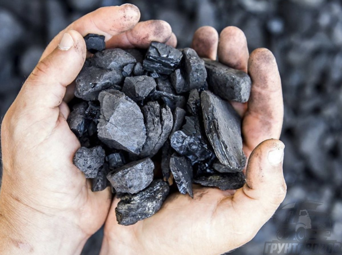 Уголь по 10 тысяч за килограмм хотели закупить чиновники от здравоохранения СКО