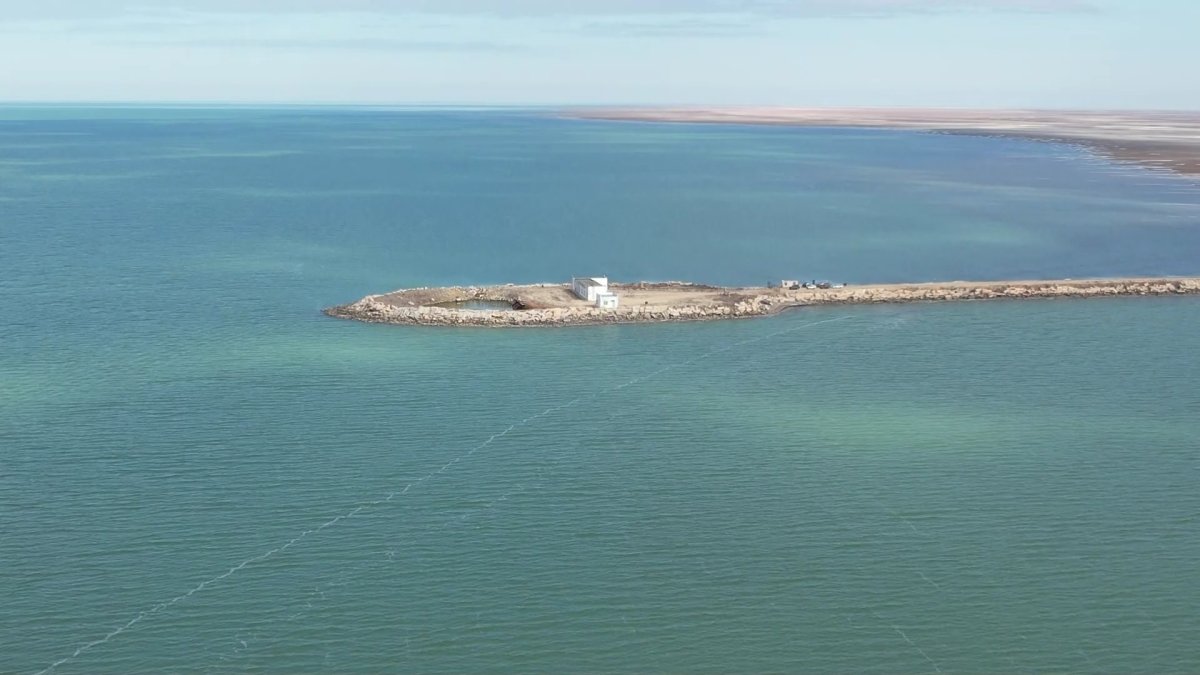 Шесть миллиардов долларов прямых инвестиций планируют вложить в освоение месторождений на Каспии