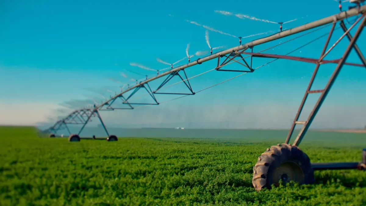 Аймақтағы фермерлер күн батареялары мен суды үнемдейтін технологиялар орнатады