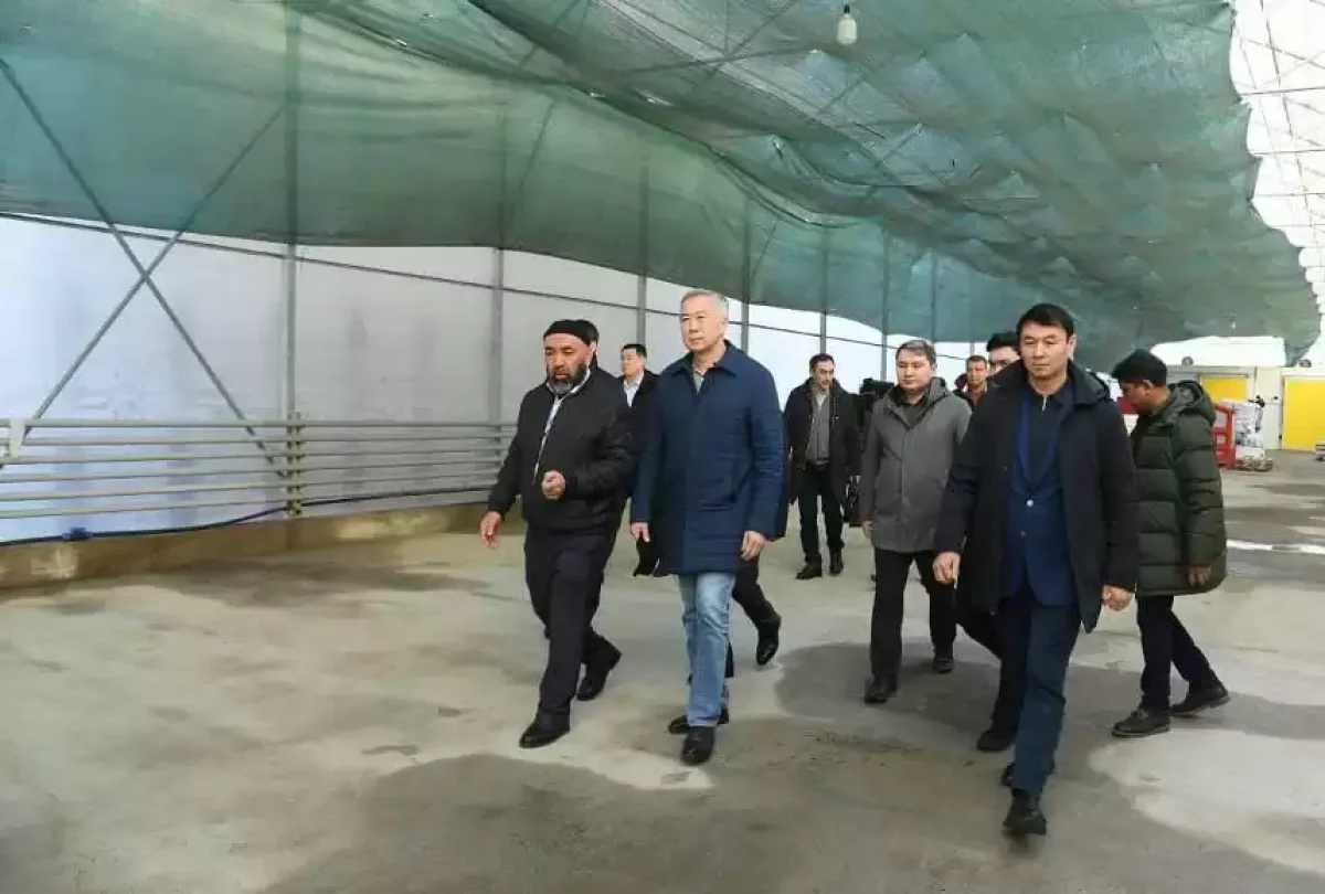 Түркістан облысындағы жылыжайлардың 90 пайызында құжат жоқ