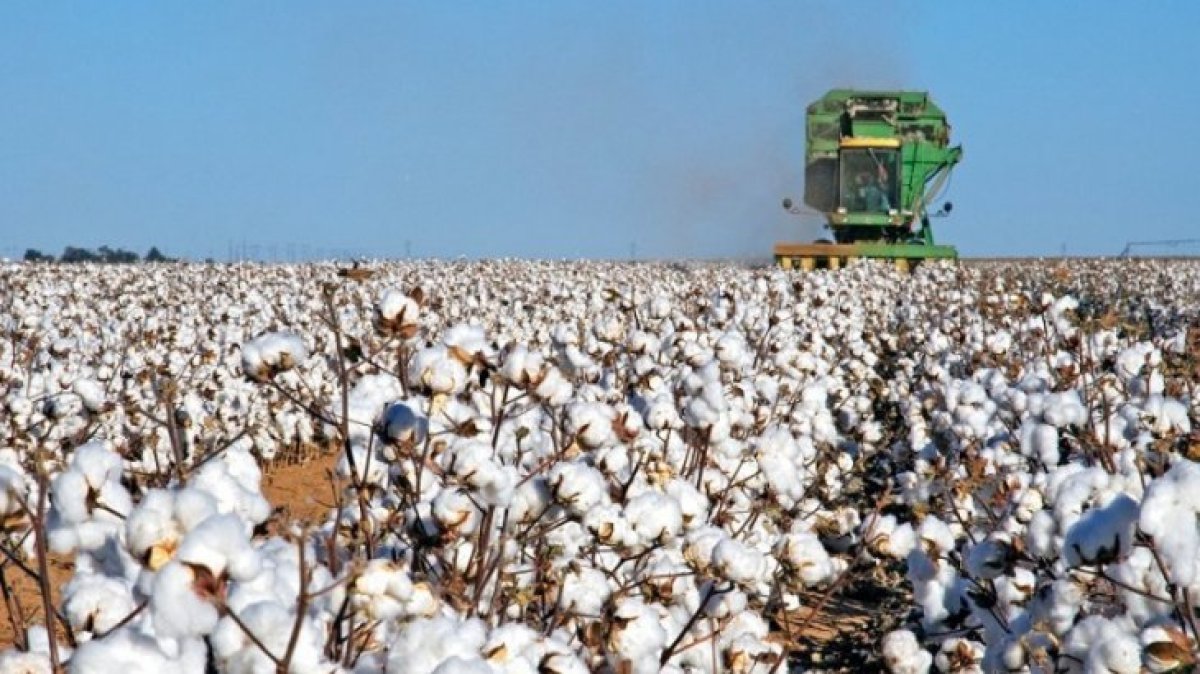 Түркістан облысында диқандар 1,6 млрд теңге қарызын ала алмай жүр