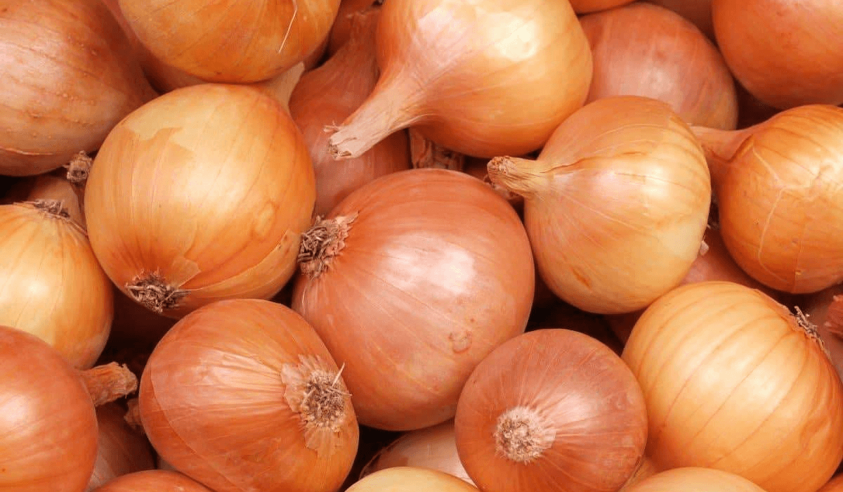 Пияз бағасының өсуін түсіндірді