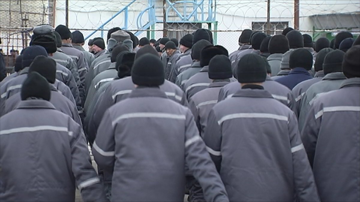 «Было трудно»: бывший заключенный рассказал почему преступники свободе предпочитают тюрьму