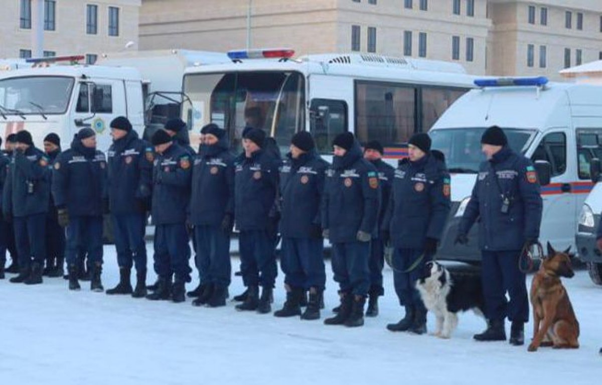 Сигнал об ещё одном выжившем под завалами в Турции подал казахстанский пёс-спасатель