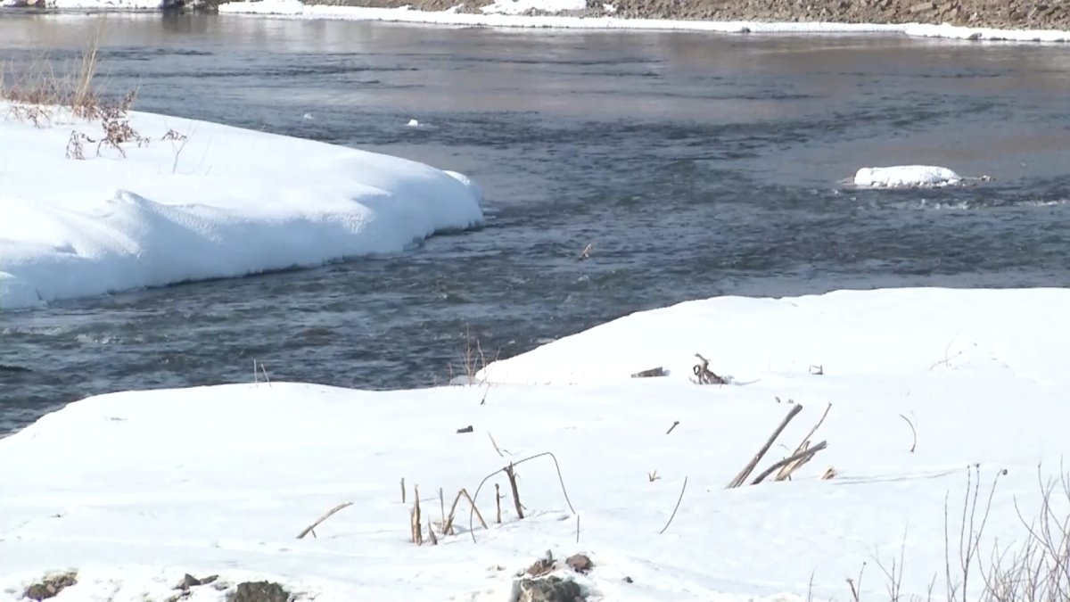 "Ана сүтінен де сынап табылдыған", - тәуелсіз эколог
