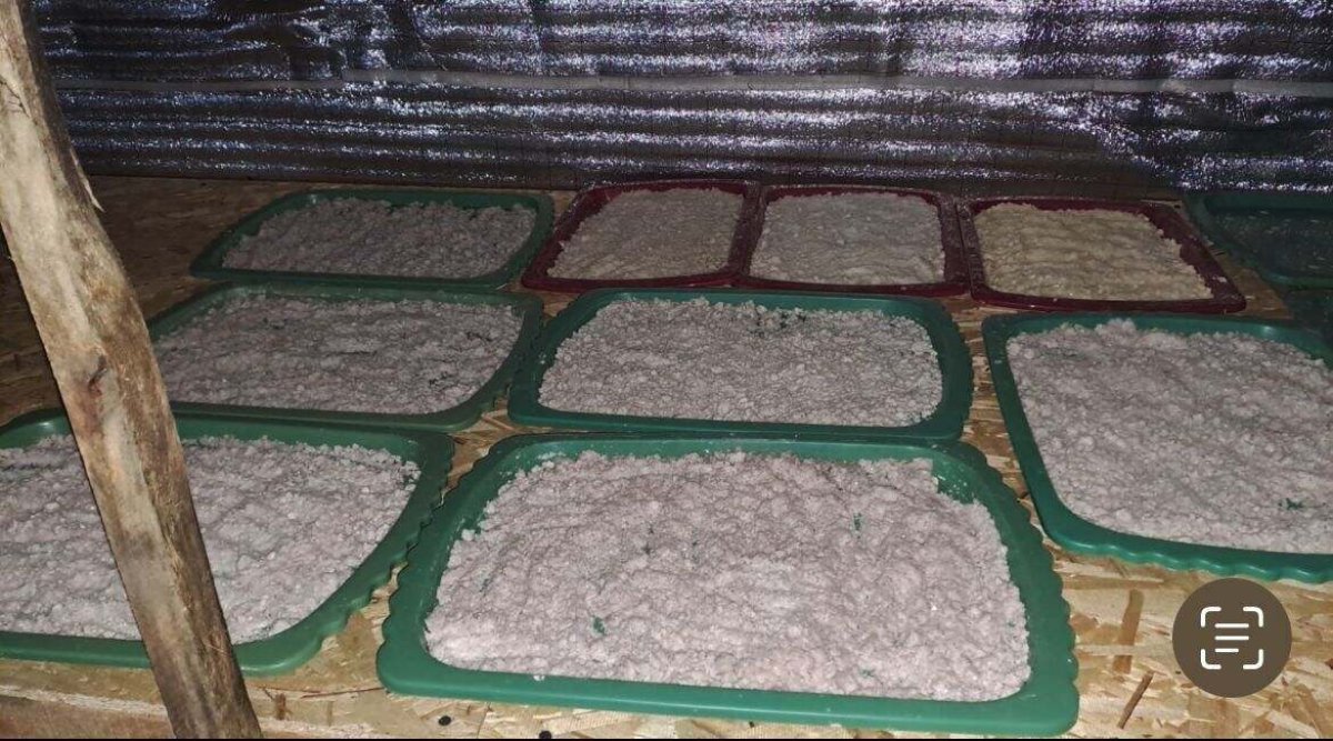 Алматы облысының полициясы кезекті есірткі зертханасын анықтады