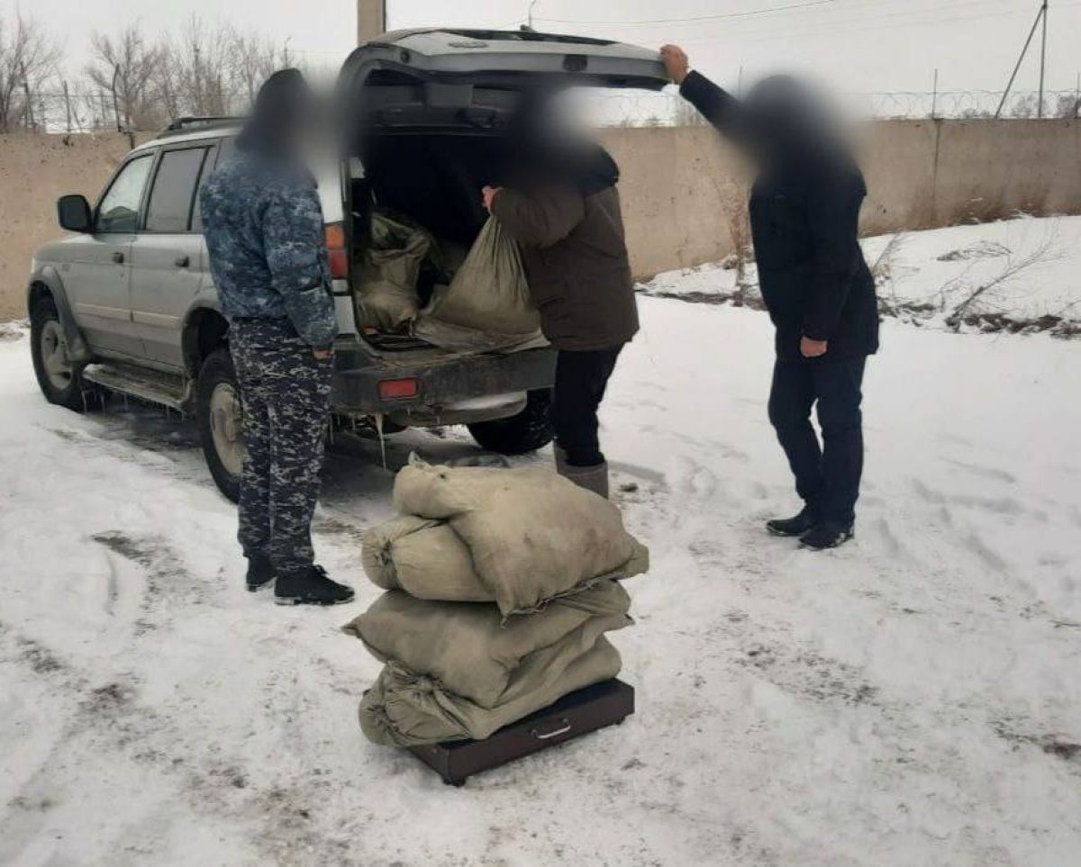 149 кг рыбы незаконно перевозил житель Павлодара