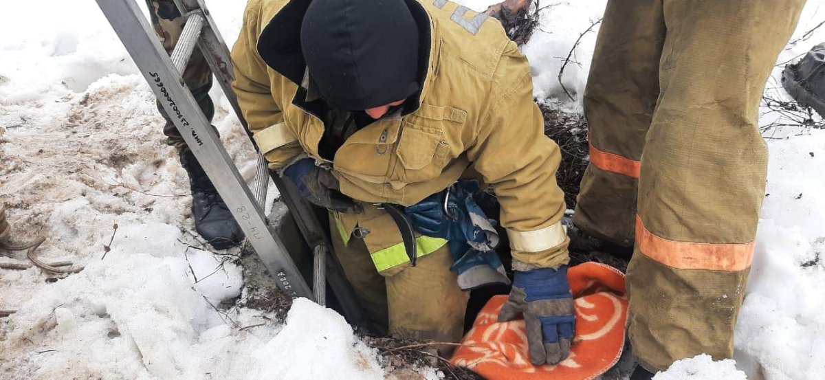 "Уговаривали не кусаться: собаку из колодца вытащили спасатели ВКО