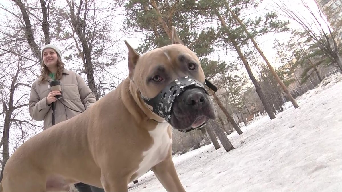 Опасность заражения инфекциями грозит жителям Павлодара