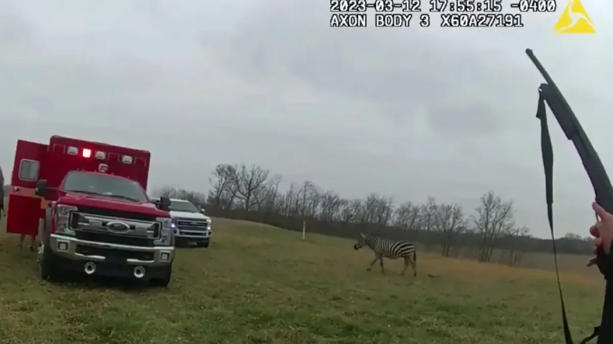 Зебра едва не откусила руку мужчине в США