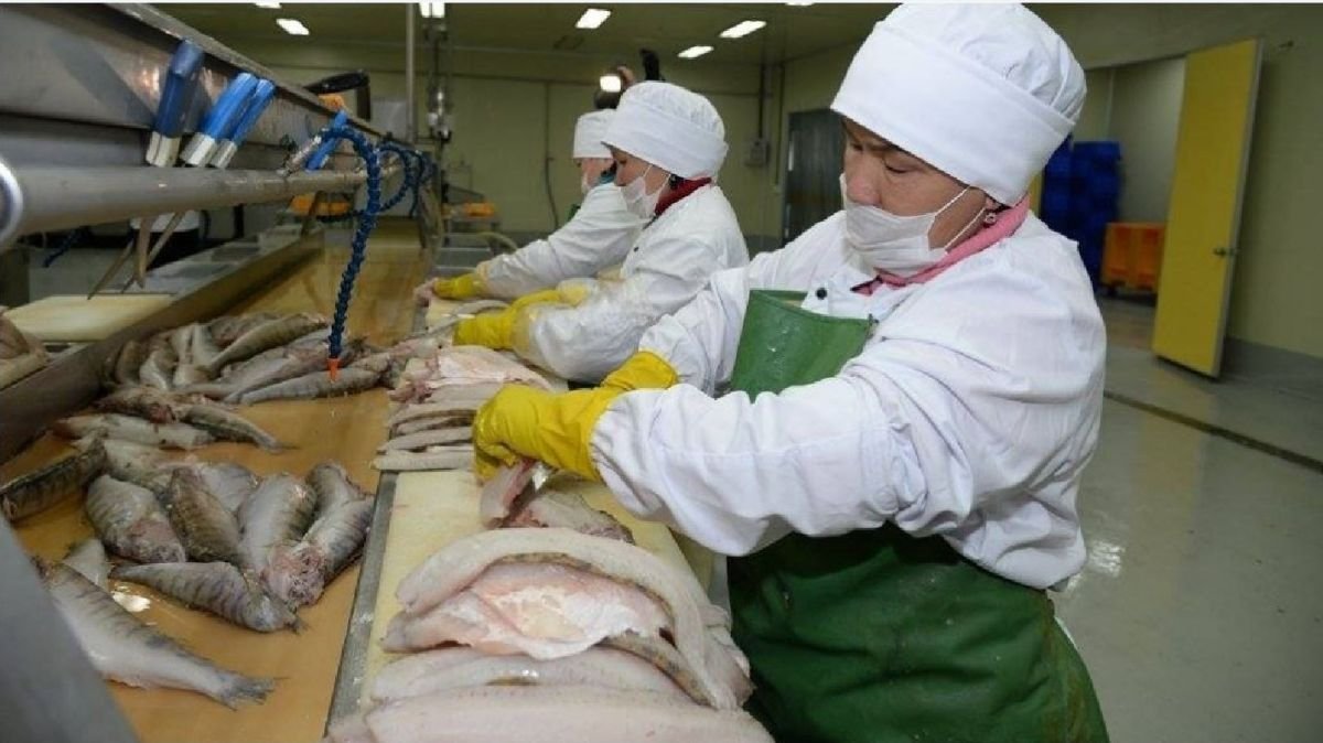 Қазақстанның балық өнімдері Еуропа елдеріне экспортталады