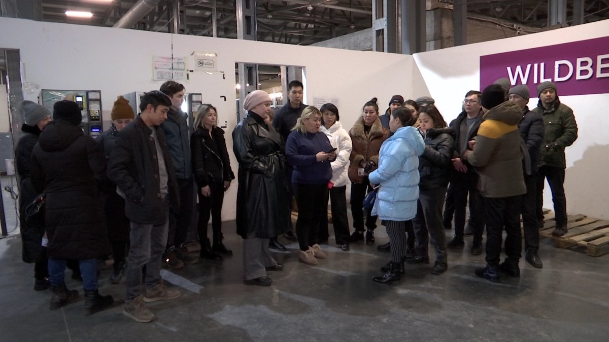 Многомиллионные штрафы Wildberries выставил казахстанцам из-за переименования Астаны