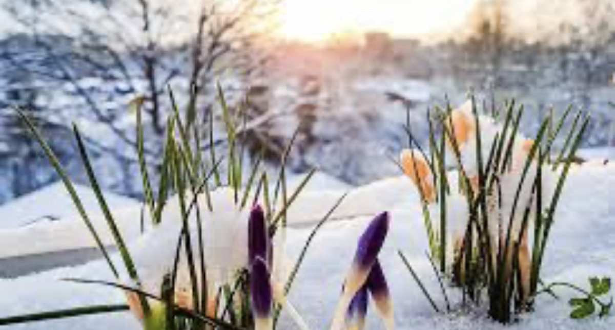 Удачные поездки - у Близнецов, прибыль - у Весов: что сулят звезды 2 марта