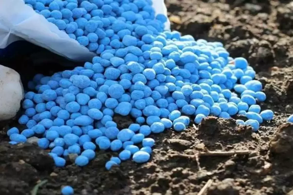 Елімізде тыңайтқыштарды шет мемлекеттерге шығаруға шектеу қойылмақ