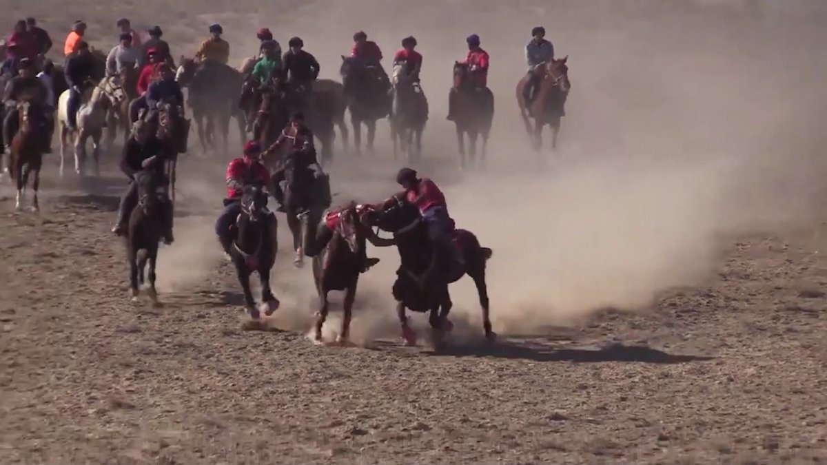 Көкпарда намыстың нары, тұлпардың бабы сыналады